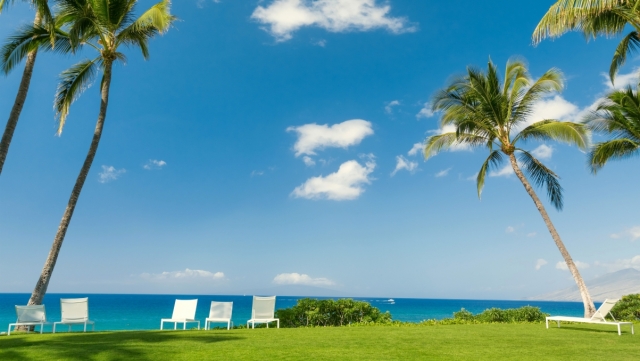 十九条干货！国务院发文，自贸区将有这些大变化！